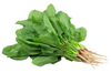 Spinach - Palak